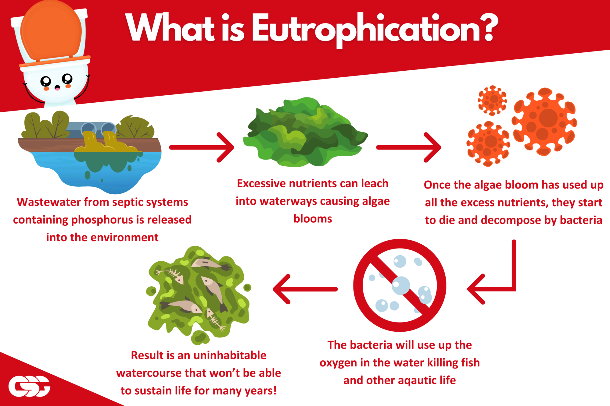 what is eutrophication due to nitrate and phosphate pollution from septic systems